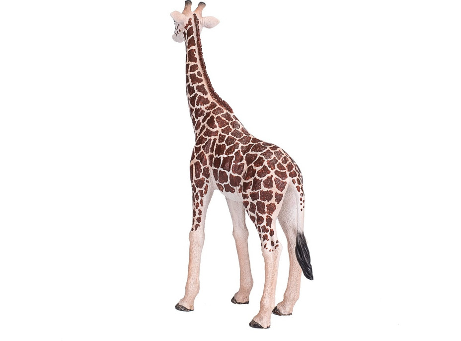 Mojo Žirafa samica