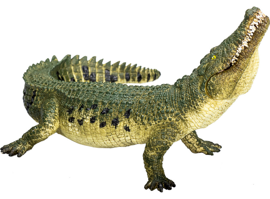Mojo Krokodíl s kĺbovou čeľusťou