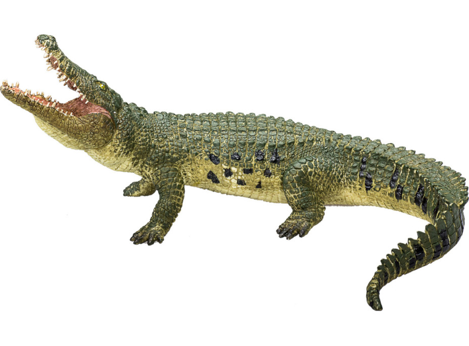 Mojo Krokodíl s kĺbovou čeľusťou