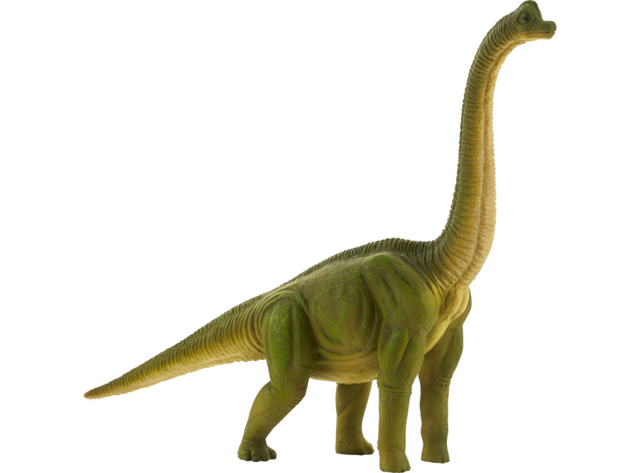 Mojo Brachiosaurus veľký