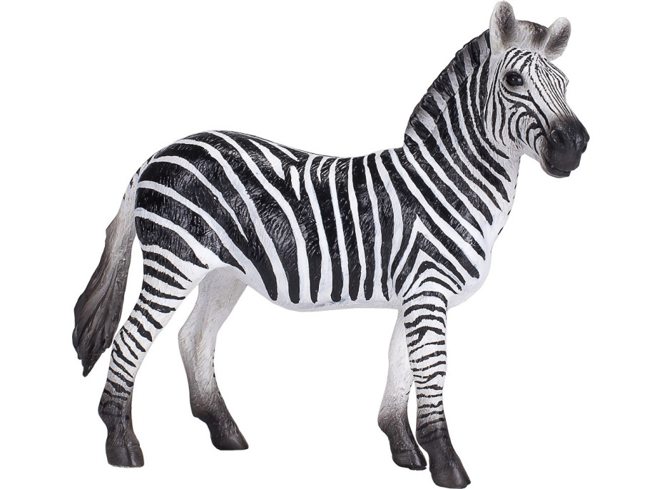 Mojo Zebra kobyla