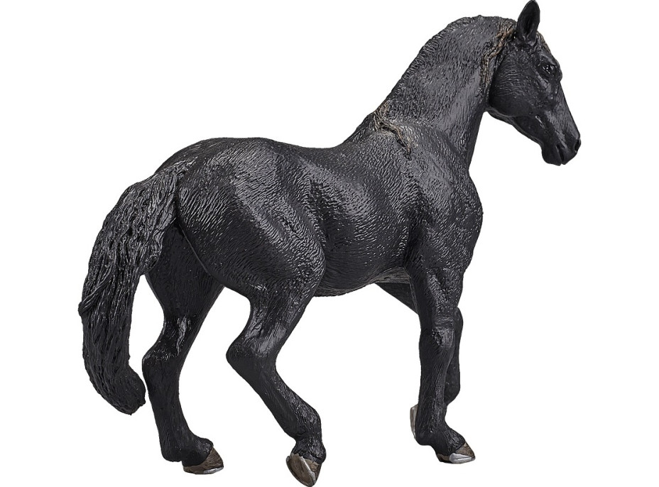 Mojo Andalúzsky čierny kôň