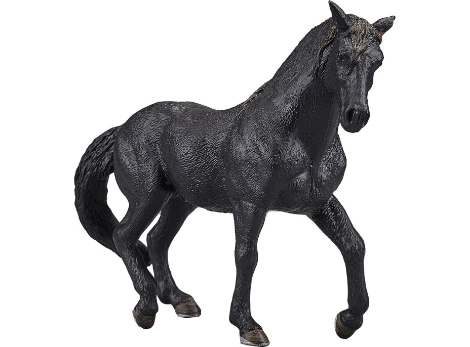 Mojo Andalúzsky čierny kôň