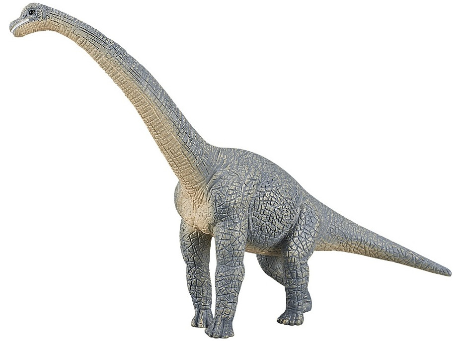 Mojo Brachiosaurus