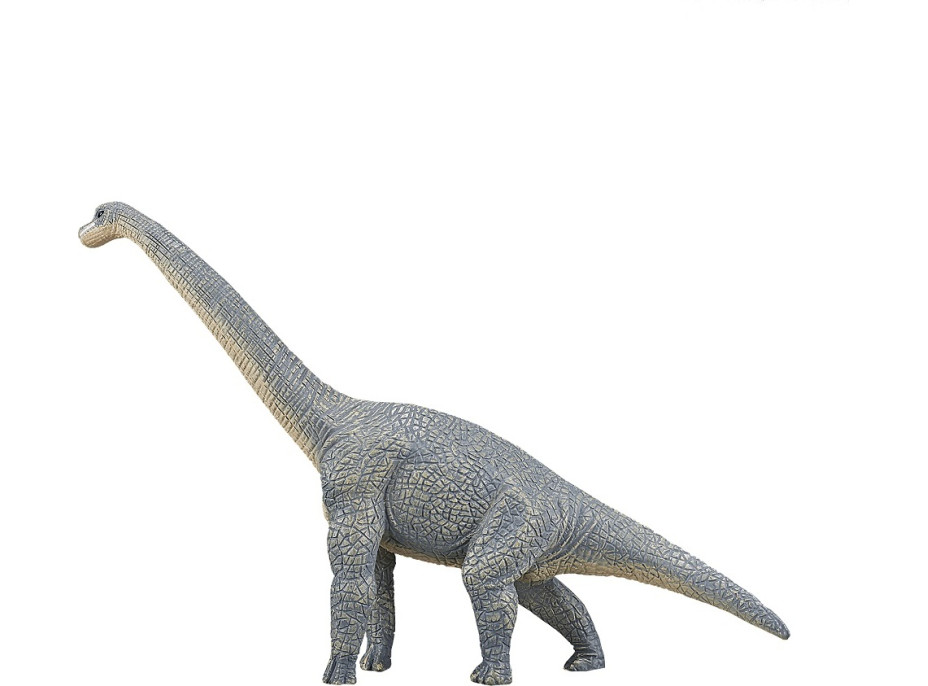 Mojo Brachiosaurus