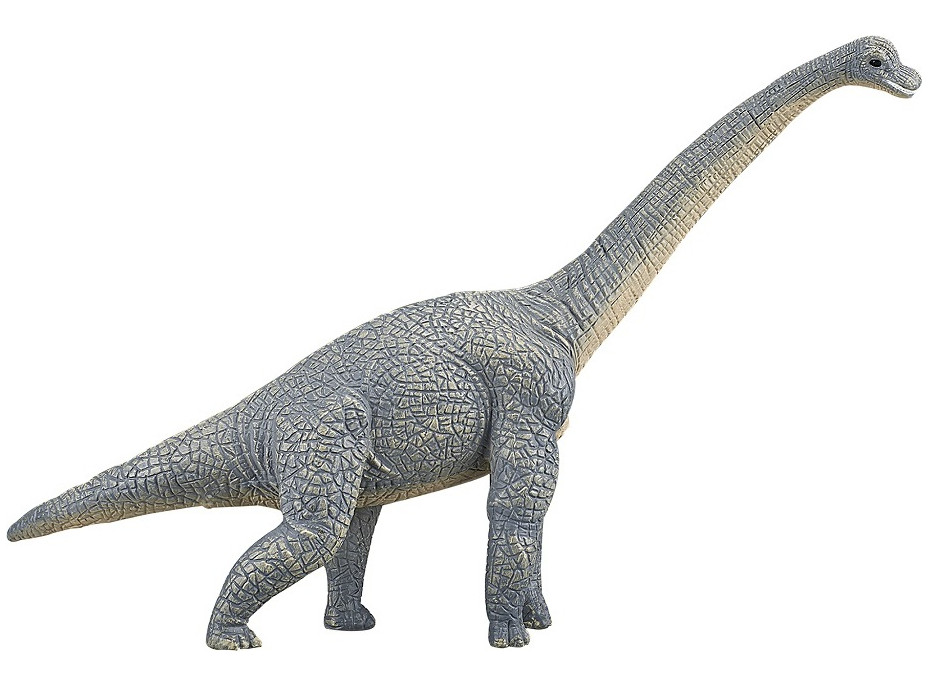 Mojo Brachiosaurus