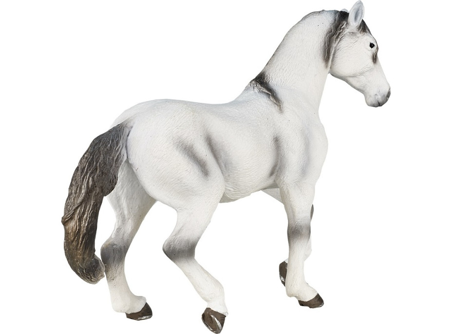Mojo Andalúzsky žrebec šedý