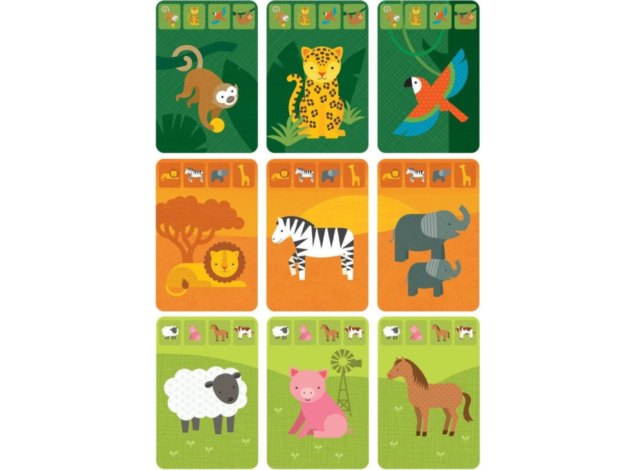 Petit Collage Karty v dóze kráľovstva zvierat - poškodený obal