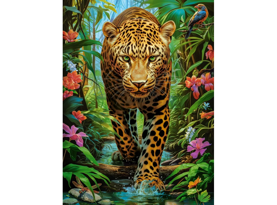 CASTORLAND Puzzle Leopard v divočine 2000 dielikov