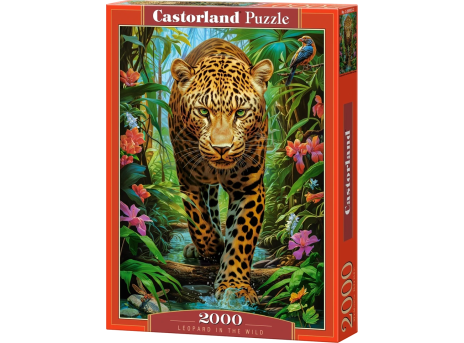 CASTORLAND Puzzle Leopard v divočine 2000 dielikov