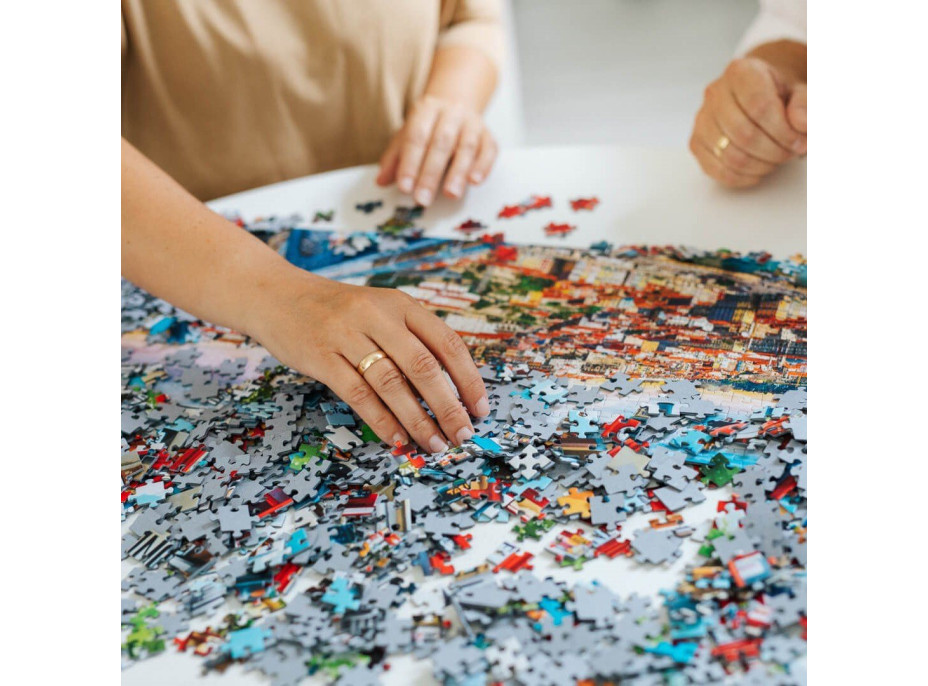 TREFL Puzzle Plavba po rieke 1000 dielikov