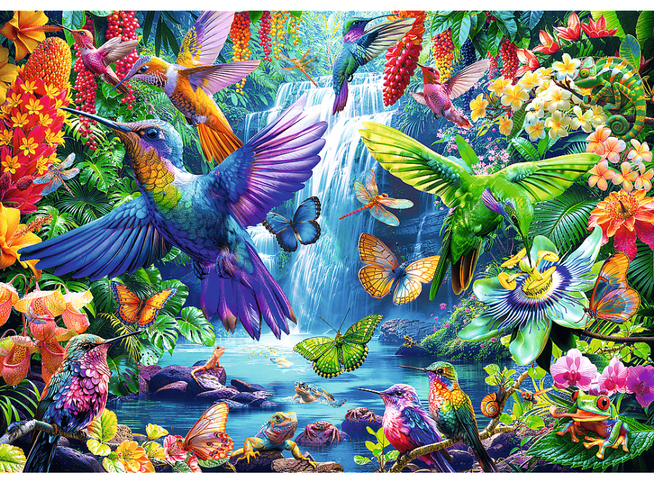 TREFL Puzzle Tropickí kolibríci 1000 dielikov