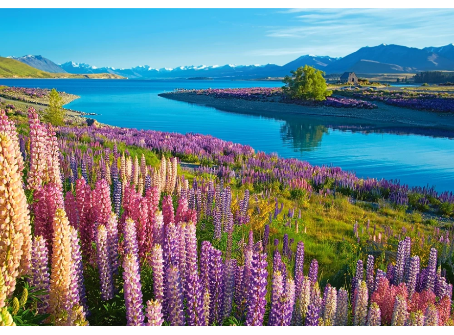 CASTORLAND Puzzle Jazero Tekapo, Nový Zéland 500 dielikov