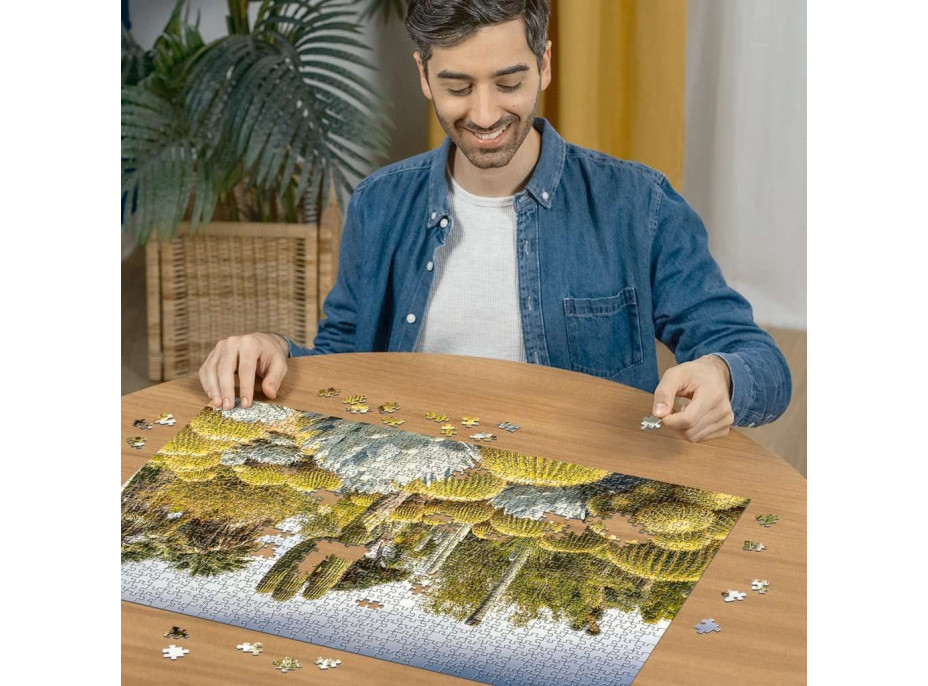 RAVENSBURGER Puzzle Kúzelné záhrady: Záhrada Huntington, USA 1000 dielikov