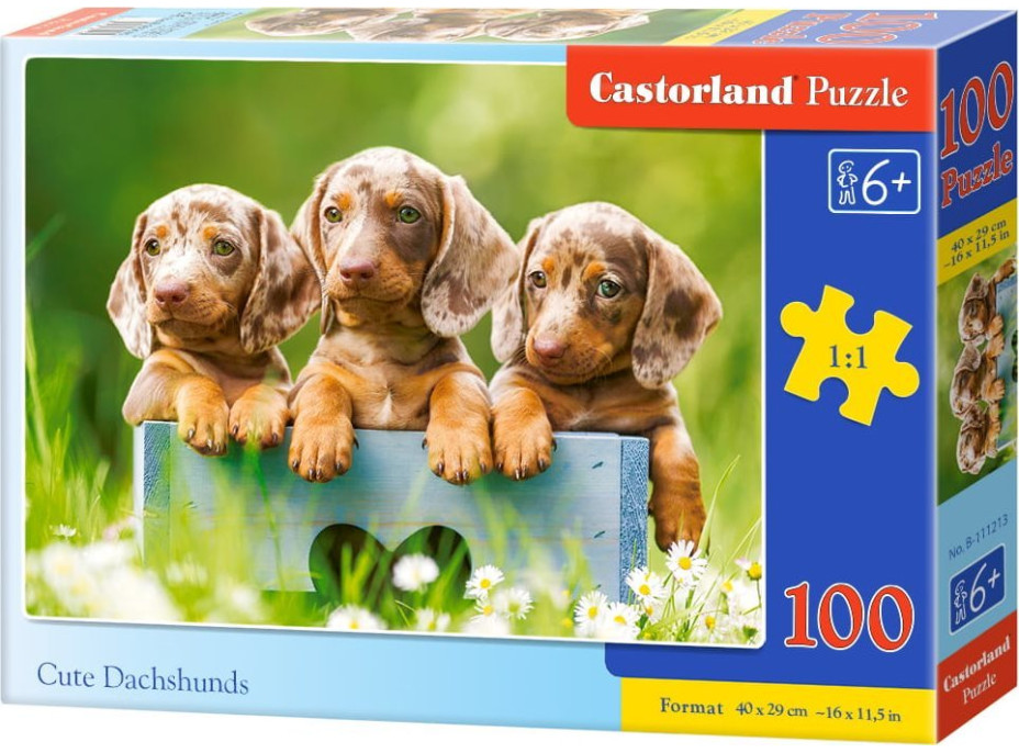 CASTORLAND Puzzle Roztomilí jazvečíci 100 dielikov