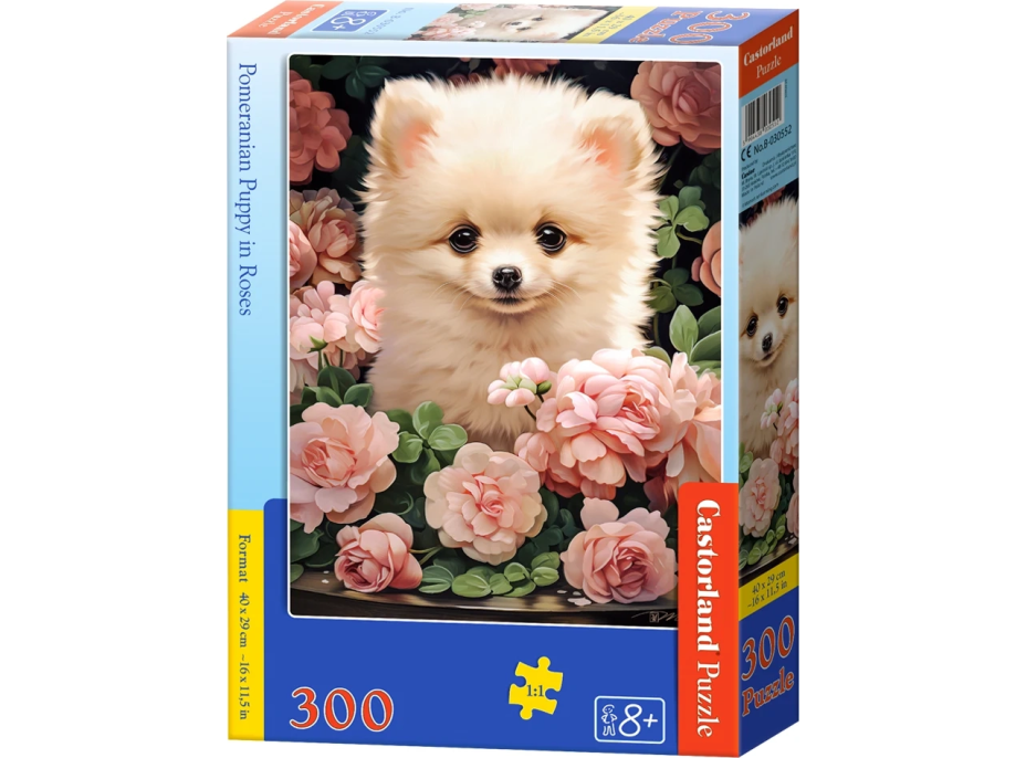 CASTORLAND Puzzle Šteňa Pomeraniana v ružiach 300 dielikov