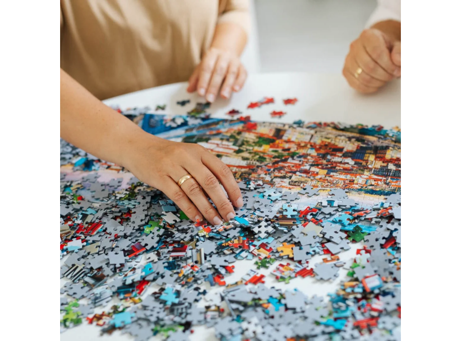 TREFL Puzzle Premium Plus Photo Odyssey: Alpské mesto vo Švajčiarsku 1000 dielikov