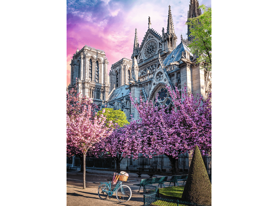 TREFL Puzzle Premium Plus Photo Odyssey: Katedrála Notre-Dame v Paríži 1000 dielikov