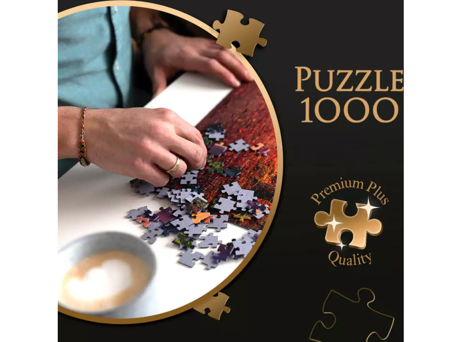 TREFL Puzzle Premium Plus Photo Odyssey: Pohľad na Gdansk, Poľsko 1000 dielikov