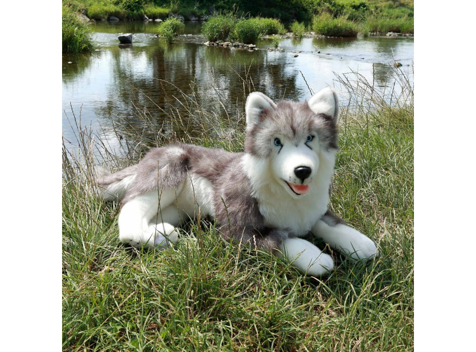 Rappa Plyšový pes husky ležiaci 60 cm ECO-FRIENDLY