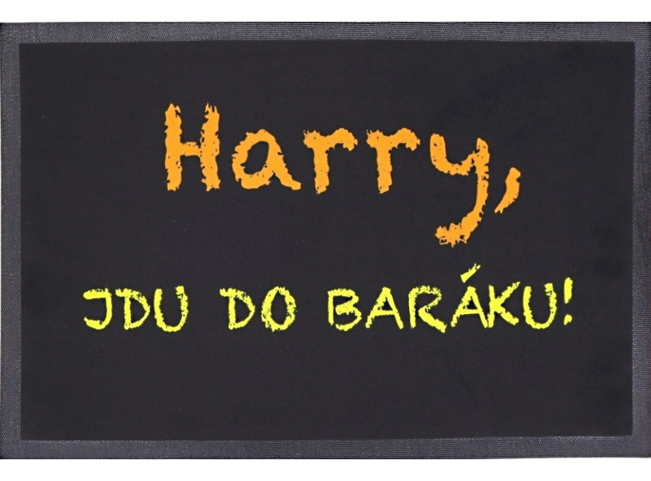 Rohožka Harry, idem do baraku 40x60 cm