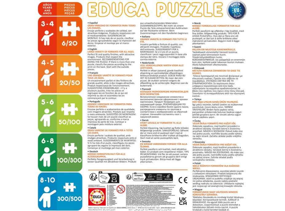 EDUCA Puzzle Outside,Inside Dom 2x100 dielikov