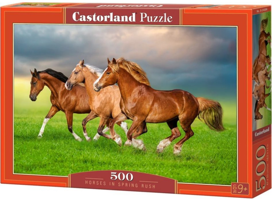 CASTORLAND Puzzle Kone v jarnom zhone 500 dielikov