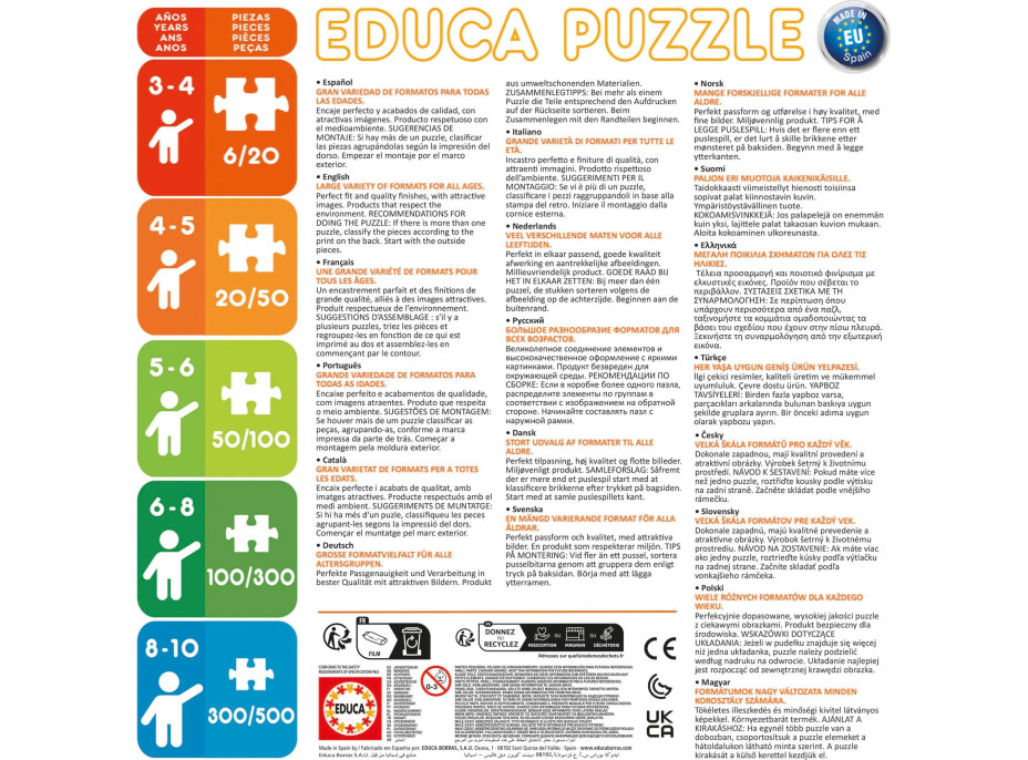 EDUCA Poster puzzle Stitch 250 dielikov