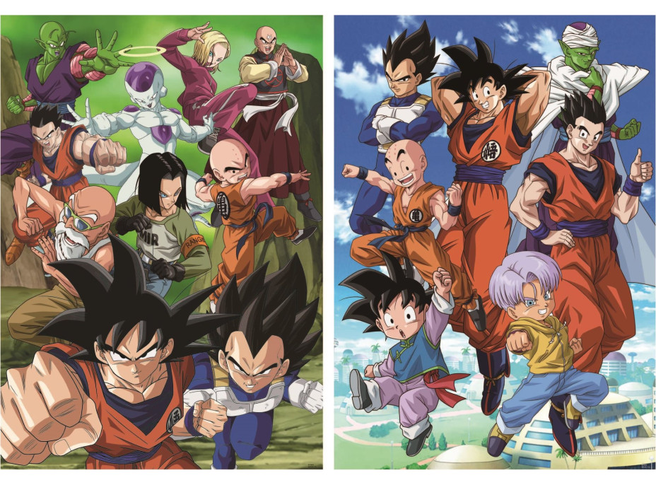 EDUCA Puzzle Dragon Ball 2x500 dielikov