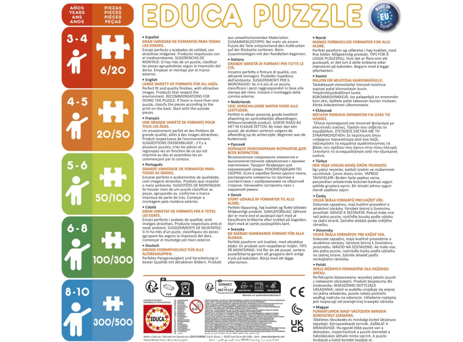 EDUCA Puzzle Čarovná Lienka a Čierny kocúr 2x100 dielikov