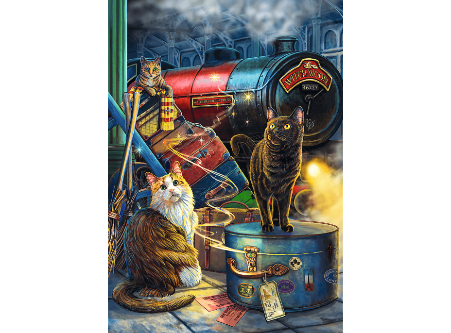 TREFL Puzzle Premium Plus Magic Collection: Witchwood Expres 1000 dielikov