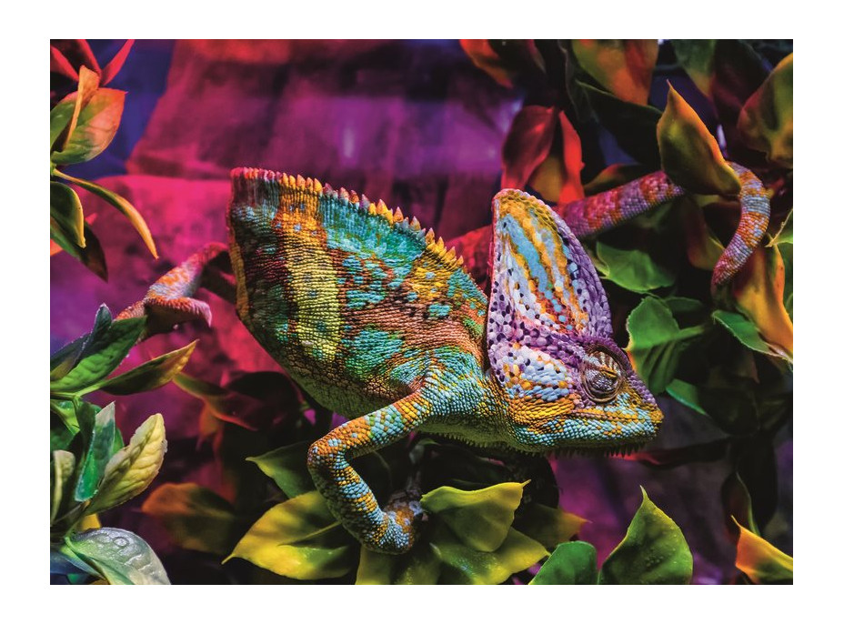 RAVENSBURGER Puzzle Chameleon 500 dielikov