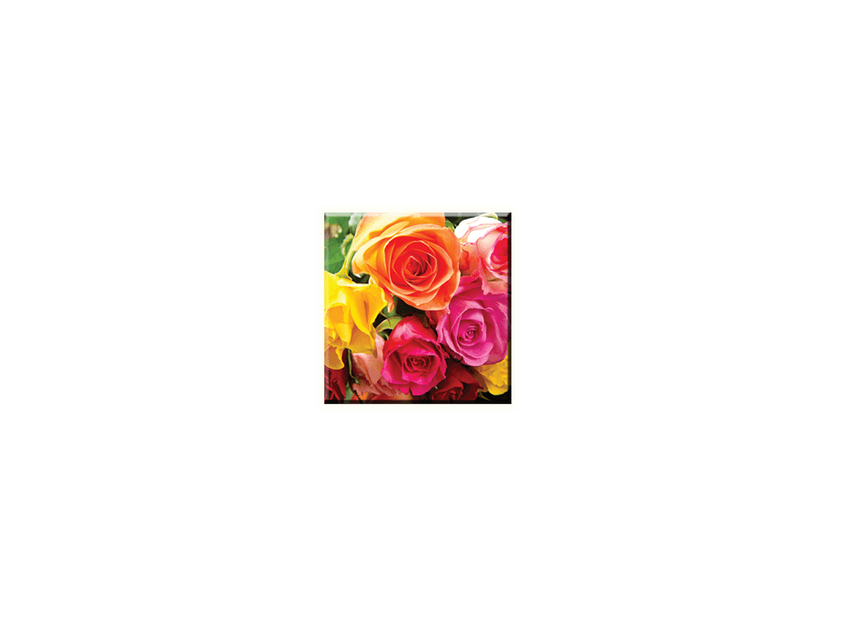 Obraz na plátne 30x30cm FLOWER - vzor 36