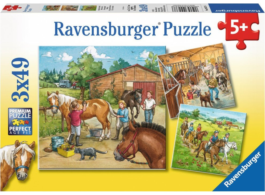 RAVENSBURGER Puzzle Deň u koní 3x49 dielikov