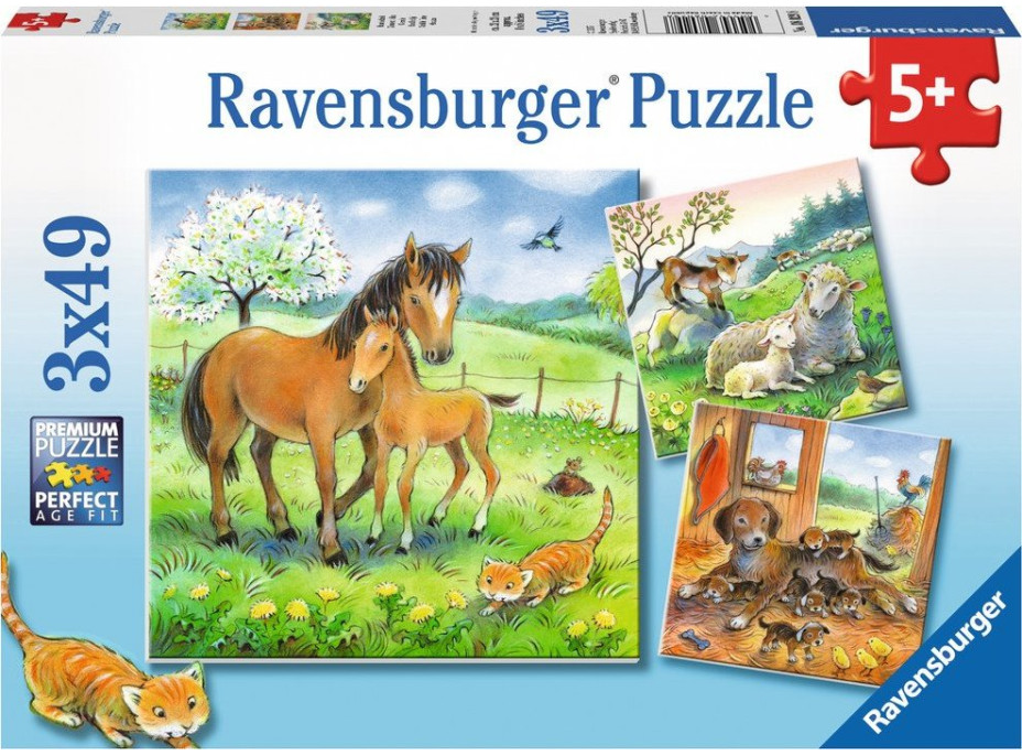 RAVENSBURGER Puzzle Zvieracie maznanie 3x49 dielikov