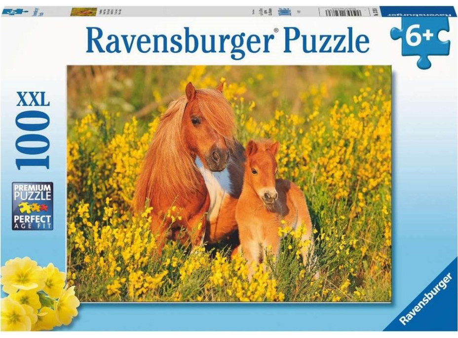 RAVENSBURGER Puzzle Shetlandskí poníky XXL 100 dielikov