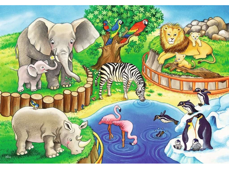 RAVENSBURGER Puzzle Zvieratká v zoo 2x12 dielikov