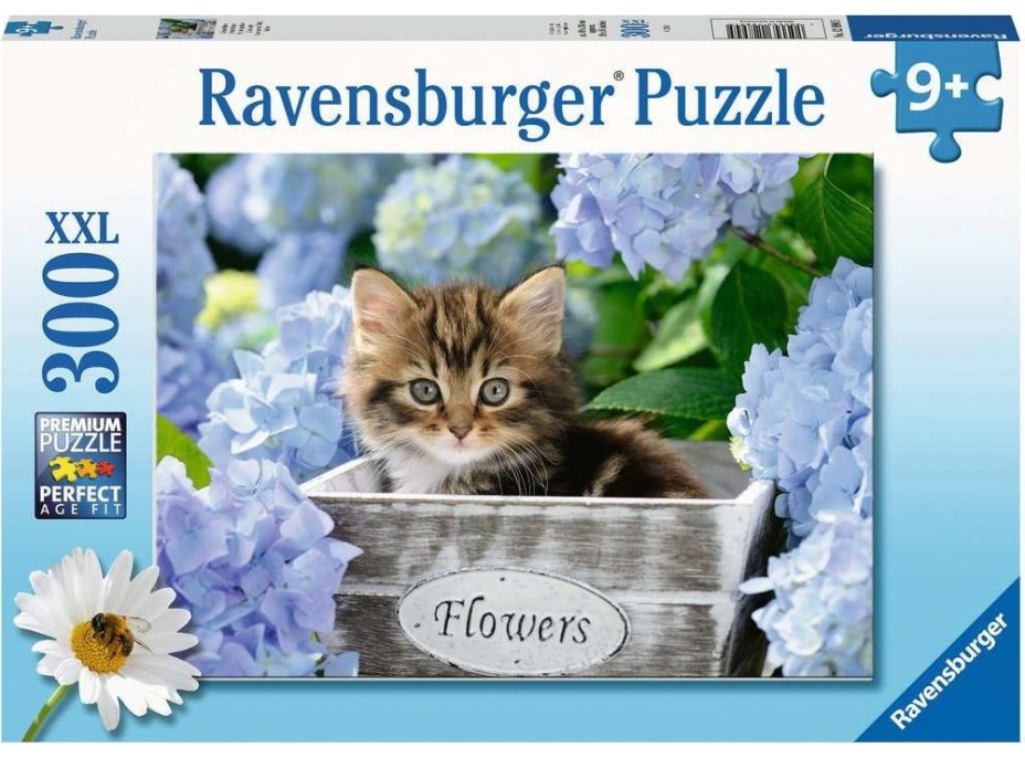 RAVENSBURGER Puzzle Malé mačiatko XXL 300 dielikov