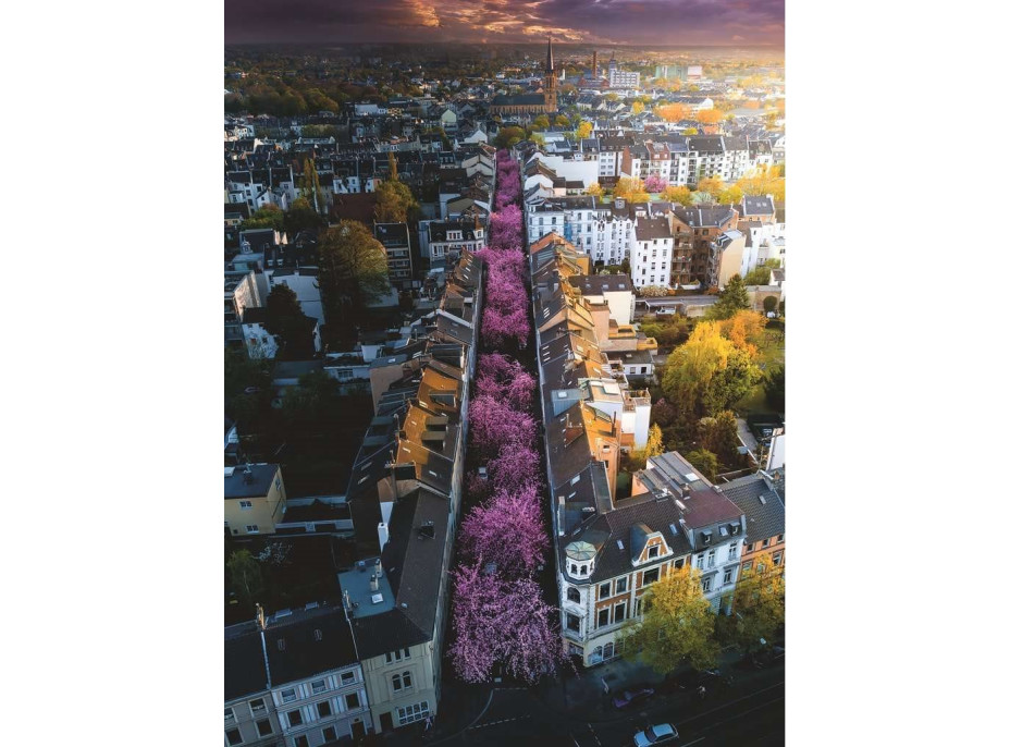 RAVENSBURGER Puzzle Rozkvitnutý Bonn 1500 dielikov