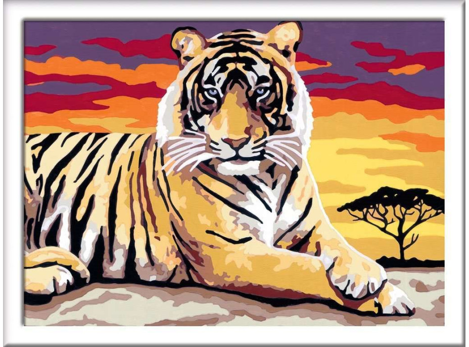 RAVENSBURGER CreArt Maľovanie podľa čísel: Majestátny tiger 24x18cm