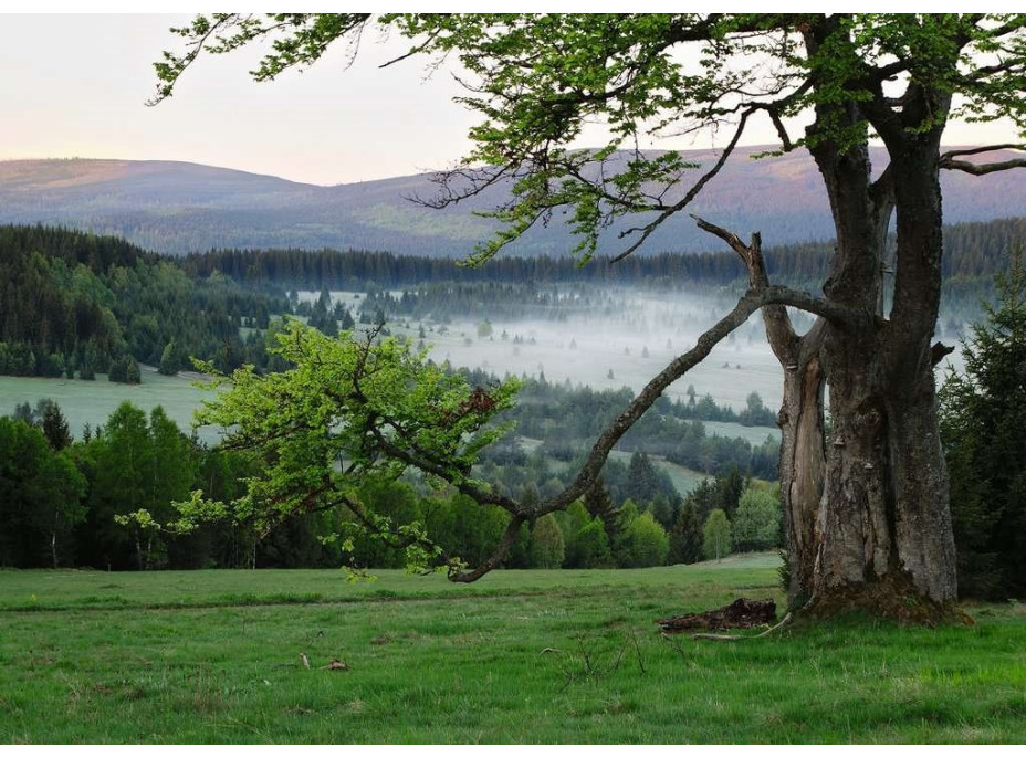 RAVENSBURGER Puzzle Šumava 1000 dielikov