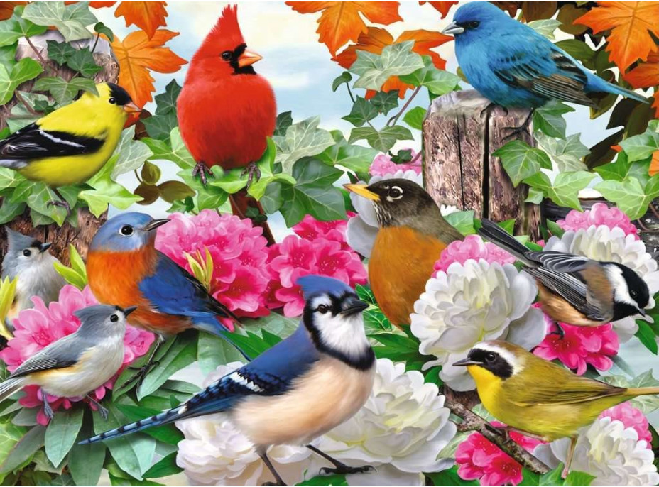 RAVENSBURGER Puzzle Záhradné vtáky 500 dielikov
