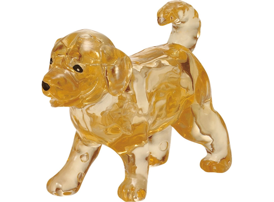 HCM KINZEL 3D Crystal puzzle Zlatý retriever a šteňa 44 dielikov