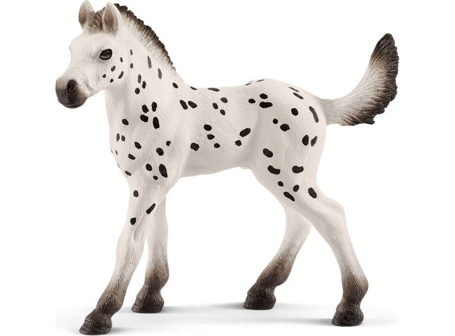 SCHLEICH Horse Club® 13890 Knabstrupský kôň - žriebä (svetlé)