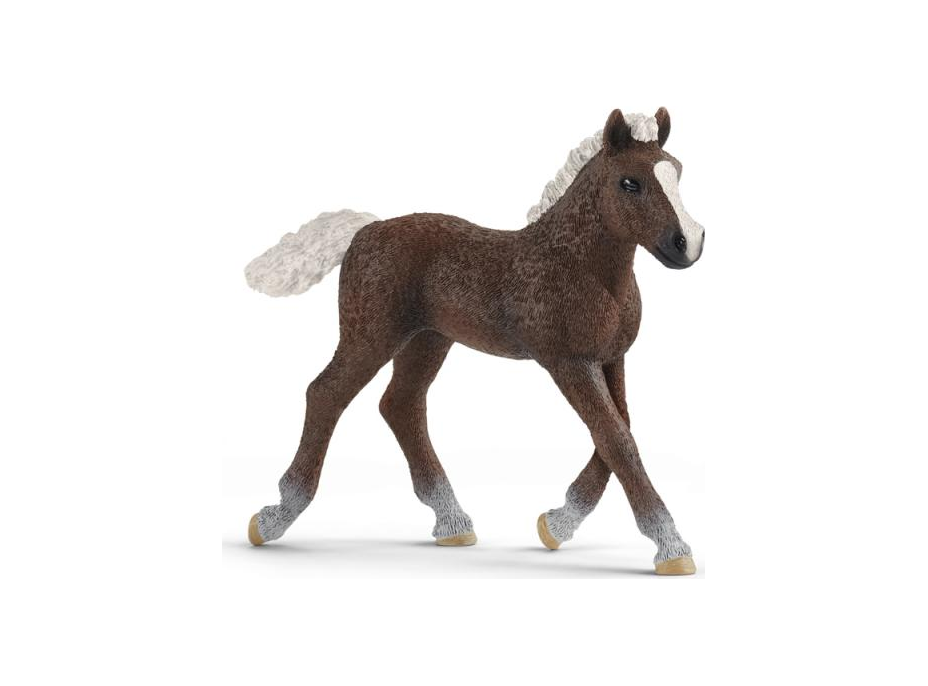 SCHLEICH Horse Club® 13899 Kôň Schwarzwaldský - žriebä