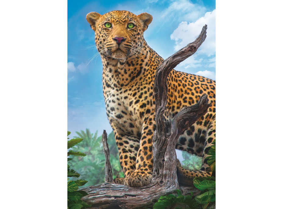 TREFL Puzzle Divoký leopard 500 dielikov