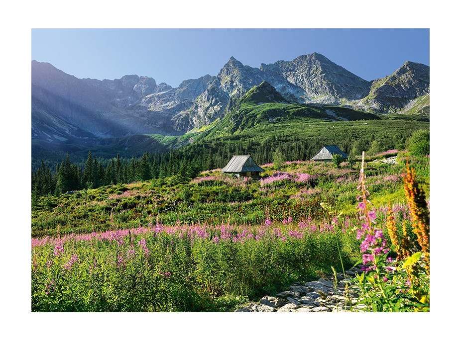 CHERRY PAZZI Puzzle Gąsienicowa dolina, Vysoké Tatry 1000 dielikov