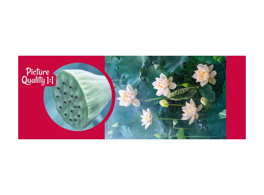 CHERRY PAZZI Puzzle Biely lotus 1000 dielikov