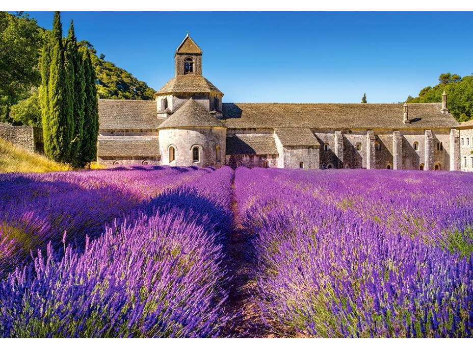 CASTORLAND Puzzle Levanduľové pole v Provence, Francúzsko 1000 dielikov