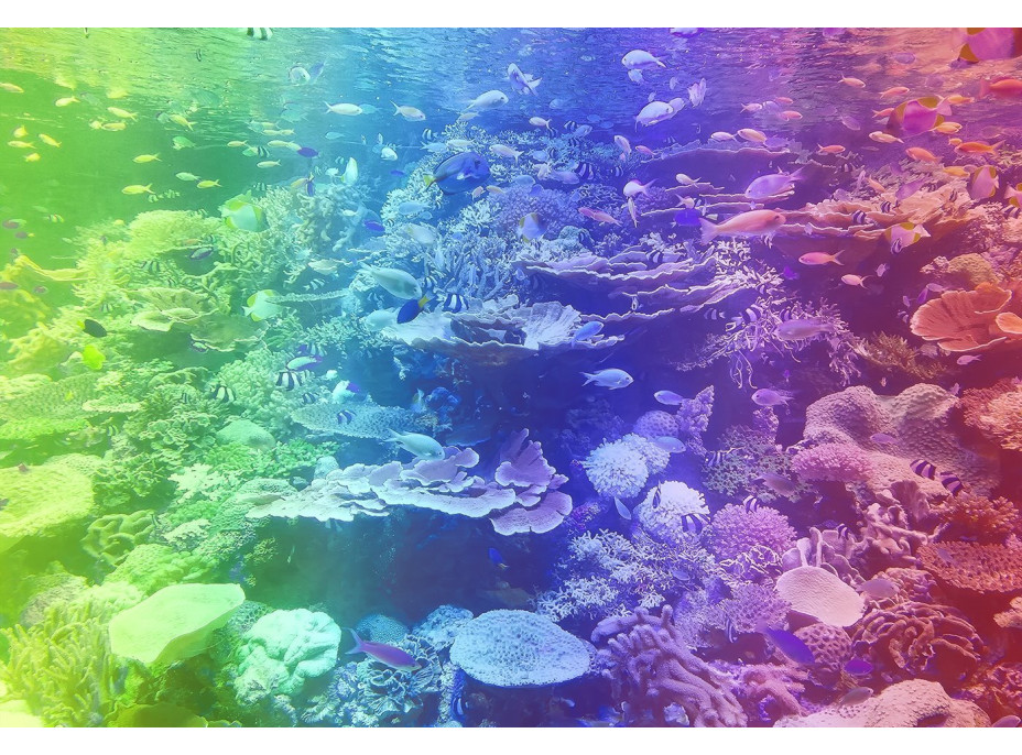 WOODEN CITY Drevené puzzle Koralový útes 2v1, 400 dielikov EKO